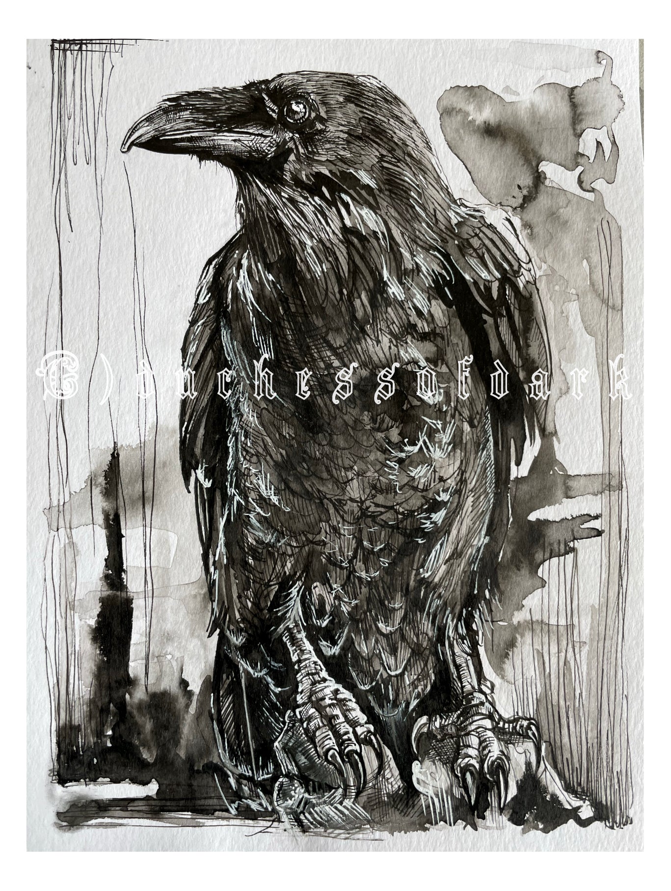 Raven Fine Art Giclee Print Postcard A6/A5/A4 - bird power animal horror wican witch gothic dark art shamanic