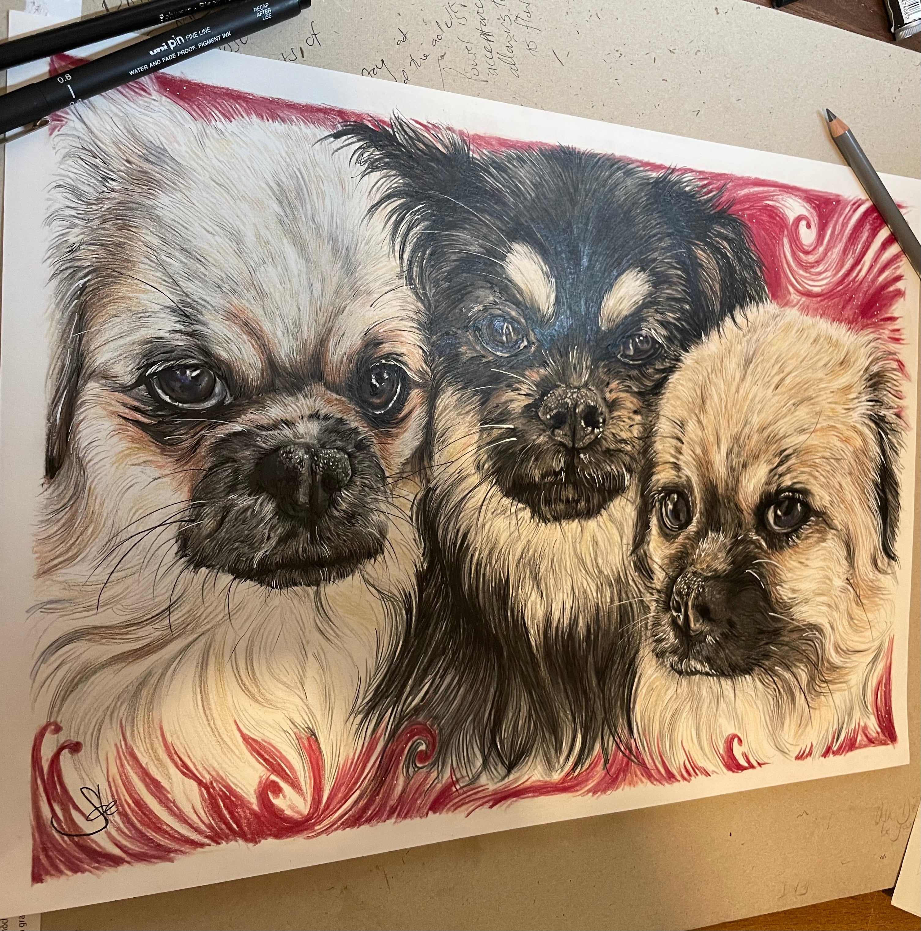 Your Pet or Wild Animal Custom Handmade Handmade Portrait Commission Unique Celebration Anniversary Gift Present