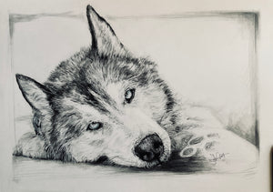 Your Pet or Wild Animal Custom Handmade Handmade Portrait Commission Unique Celebration Anniversary Gift Present