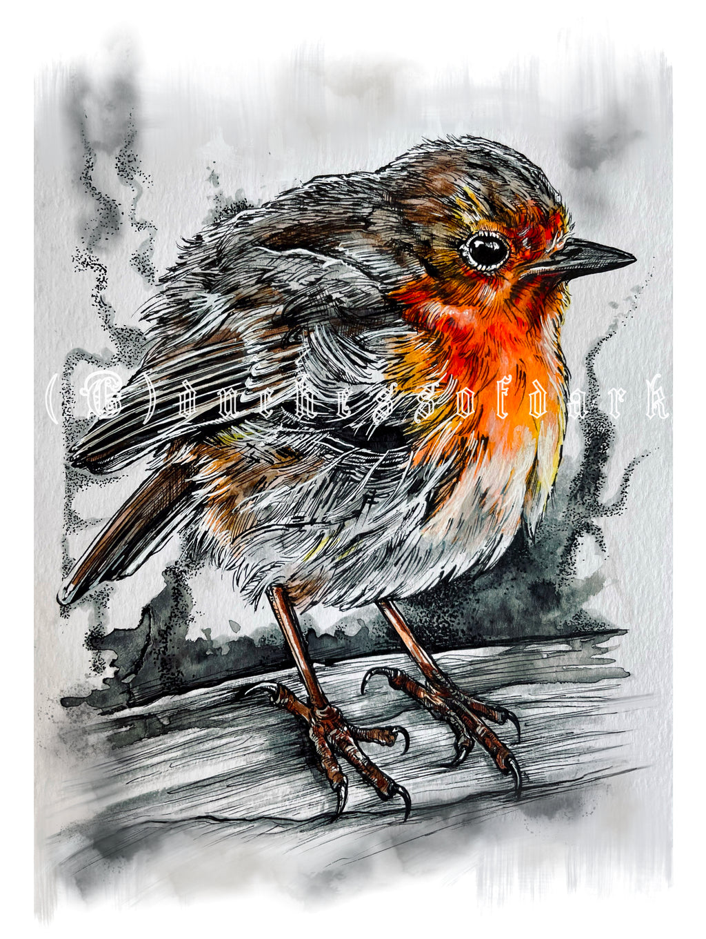 Robin Giclee Fine Art Print A6/A5/A4 - power animal totem bird songbird avian twitcher art