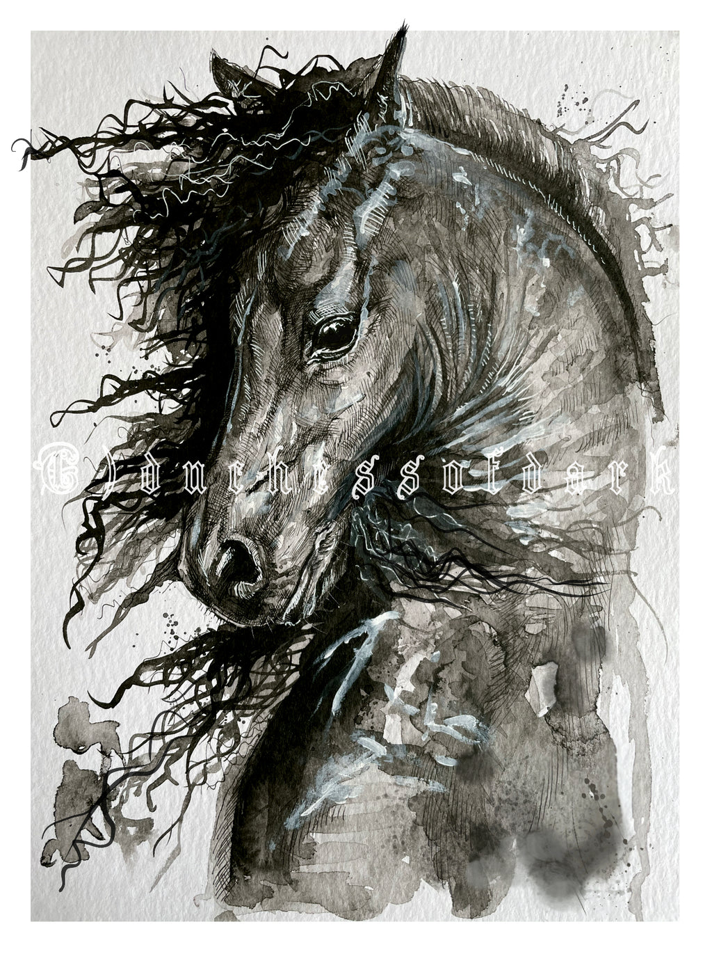Friesian Beauty Horse Equine Fine Art Giclee Print Postcard A6/ A5/ A4 - gothic animal dark art